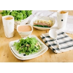 Melamine Tableware Mould