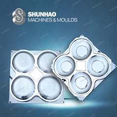 718H Steel 10Melamine Plate Mold With Matte Finish And Hard Chrome